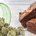Weed in Europe: A Country-by-Country Guide to Laws, Culture & Safety