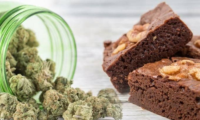 Weed in Europe: A Country-by-Country Guide to Laws, Culture & Safety