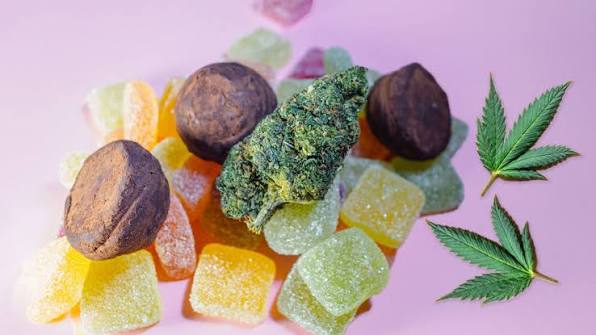 Understanding the CBD Joint Boom in Europe